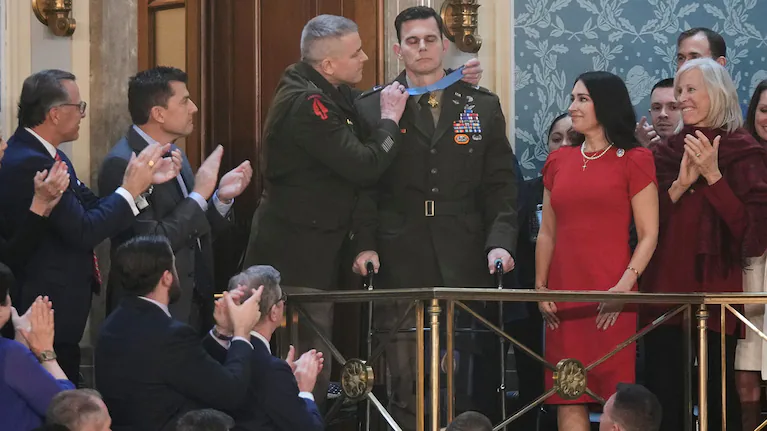 El León No Es Tan Bravo Como Lo Pinta La Selva